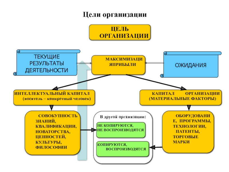 Материальные факторы. Цель мотивации как функции управления. Цели юридического лица. Мотивация как функция спортивного менеджмента презентация. Организационная культура и мотивация.