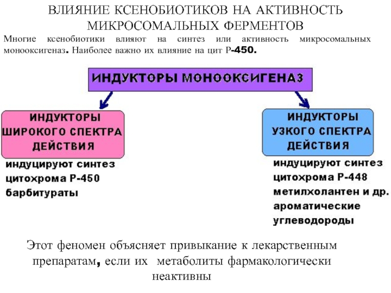 Активность микросомальных ферментов