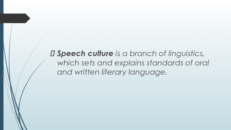 speech culture definition