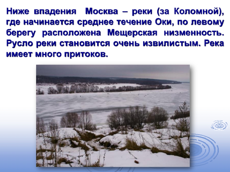 Ниже впадения Москва – реки (за Коломной), где начинается среднее течение Оки, по левому берегу расположена Мещерская