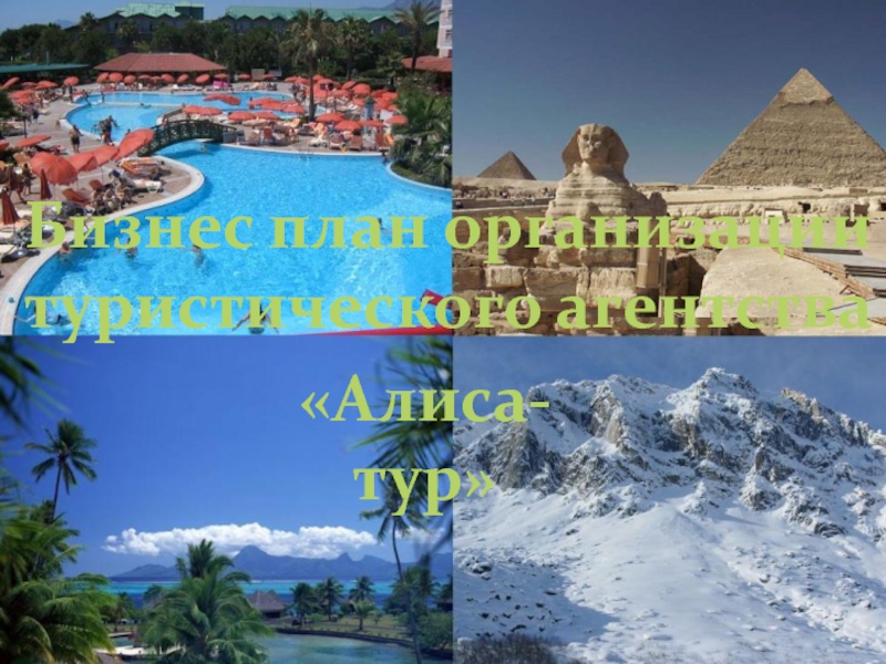 Бизнес план организации
туристического агентства
Алиса-тур