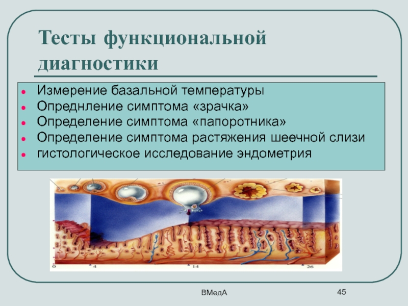 Презентации по функциональной диагностике