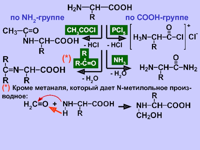 по NH2-группепо СООН-группеPCl5CH3COCl- HCl- HClNH3- H2OR-C=OR- H2O(*)(*) К...