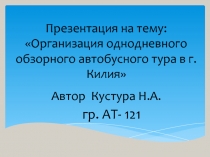 Организация однодневного обзорного автобусного тура в г