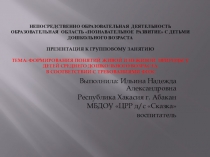 НОД ОО Познавательное развитие с детьми дошкольного возраста. Тема: 