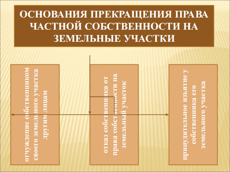 Реферат: Прекращение права собственности на землю