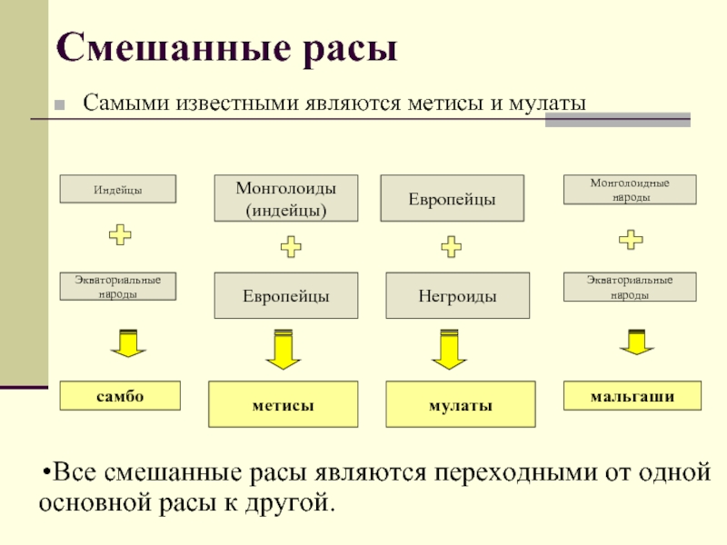 Человеческие расы схема