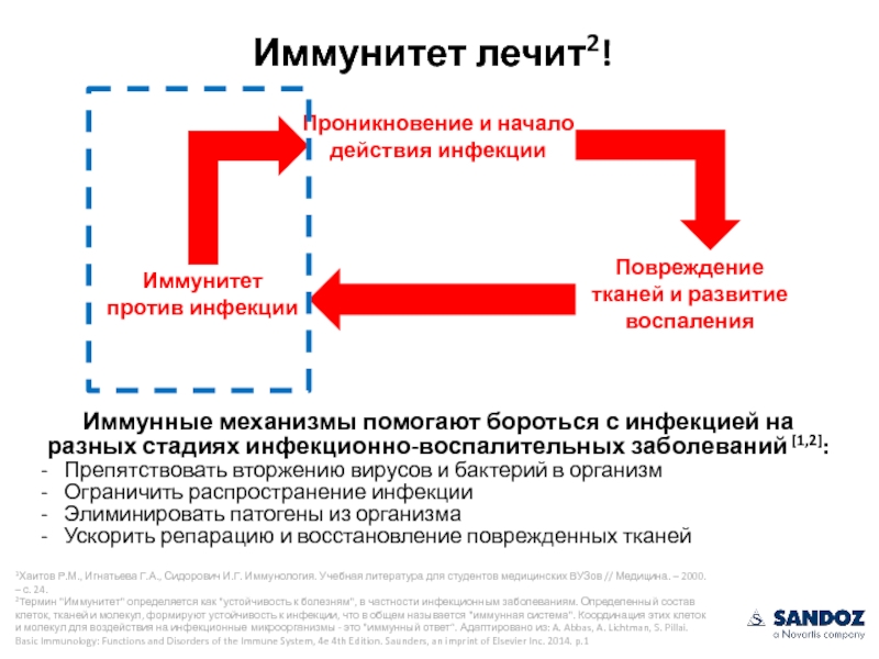 Начало действия