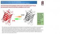 Лаборатория биофотоники ( К.А. Лукьянов ) Лаборатория методов
