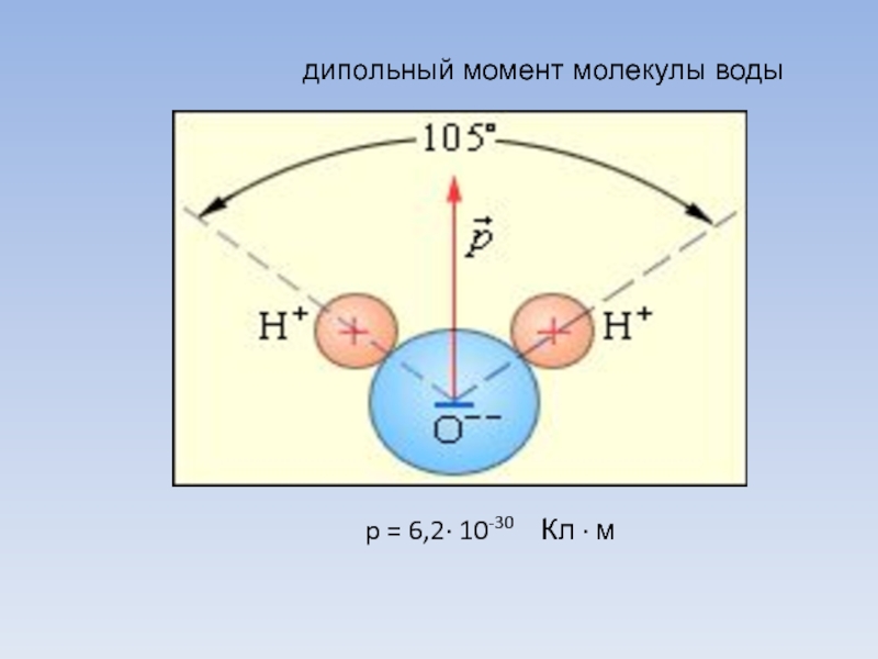 Электрические дипольные моменты молекул. Дипольный момент молекулы воды. Электрический дипольный момент молекулы воды. Дипольный момент молекулы. Полярность молекулы воды.