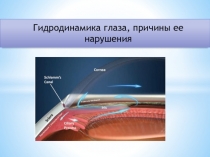 Гидродинамика глаза, причины ее нарушения