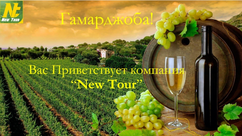 Презентация Гамарджоба! Вас Приветствует компания “ New Tour ”