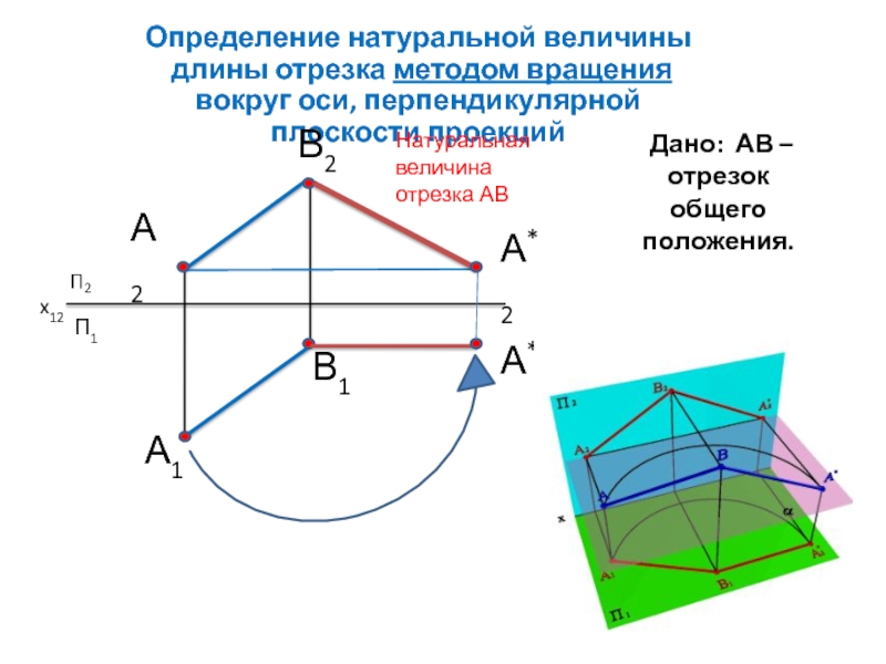 Проекция натуральной величины