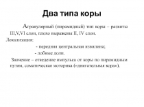 Базальные ядра полушарий. Лимбическая система