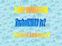 Мини-проект команды Turbounion1x2.