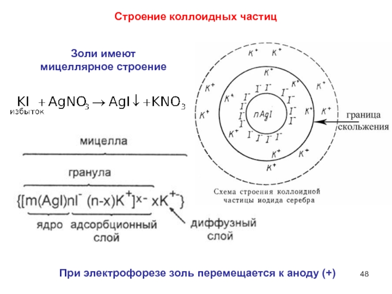 Схема мицеллы золя