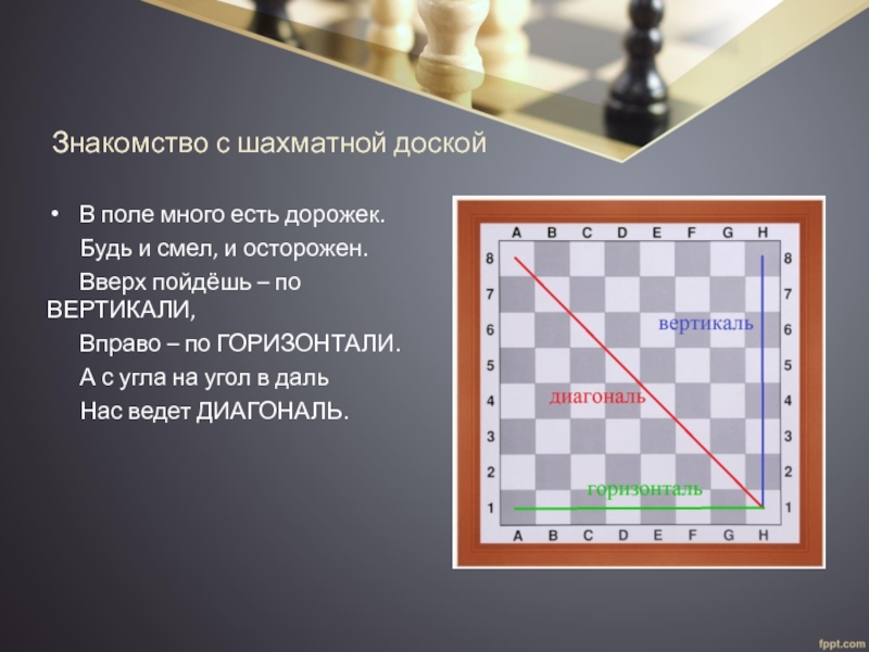 Презентация Знакомство С Шахматными Фигурами
