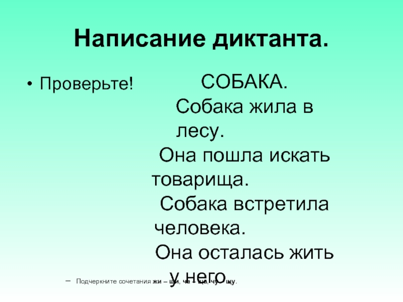 Давным давно жила в лесу собака сказка. В лесу жила собака. Собака жила в лесу она пошла искать товарища. Давным-давно в лесу жила собака скучно.