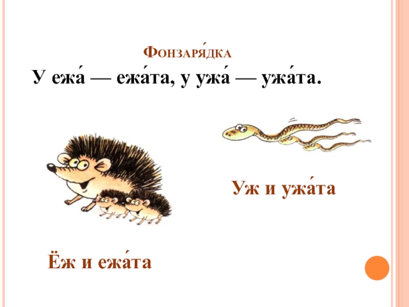 Ежи полезные зверюшки схема предложения