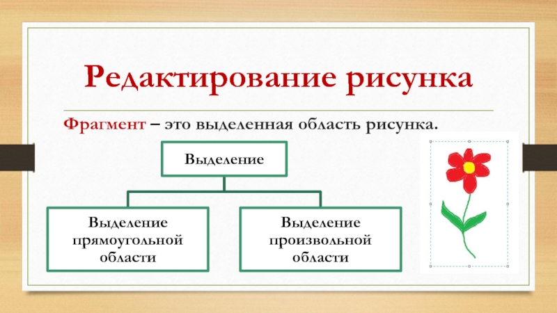 Область изменения. Выделить фрагмент рисунком. Выделение областей, рисование и редактирование. Какие виды изображений выделяют.