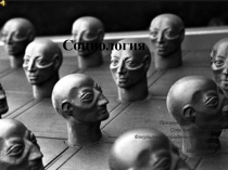 Социология