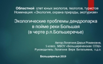 Областной слет юных экологов, геологов, туристов
Номинация: Экология, охрана