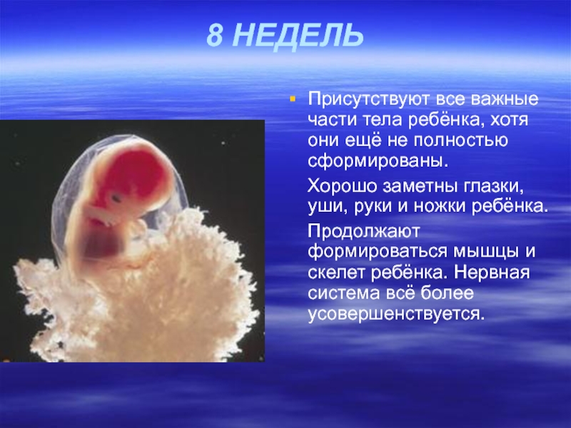 Эмбрион человека это. Рождение человека. Рождение человека 8 класс.