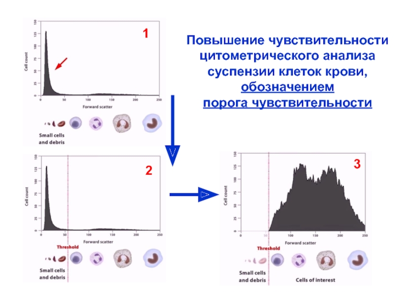 Пороговая чувствительность сетчатки человеческого