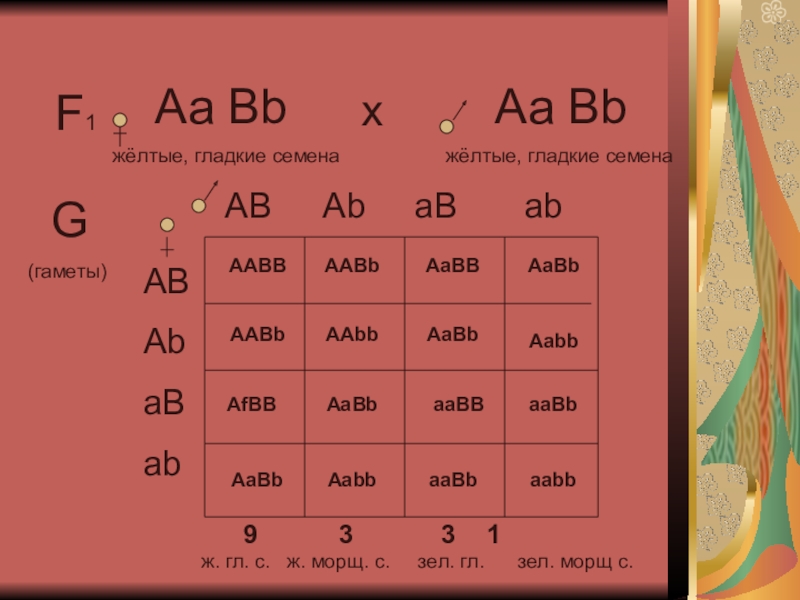 Какие гаметы образует генотип aabb. Ab ab ab ab таблица. Ab*ab. Ab ab генотип. Организмы с генотипом AABB.