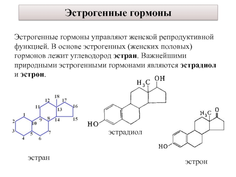 Женские половые гормоны презентация