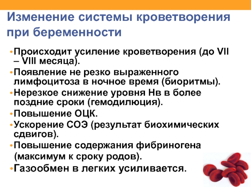 По итогам 8 месяцев. Что происходит при беременности. Гемодилюция у беременных. Наибольший объем циркулирующей крови при беременности наблюдается. Как происходит беременность.