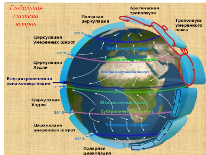 Система ветров. Глобальная система ветров. Мировые ветра. Глобальная карта ветров. Ветра подсистема.