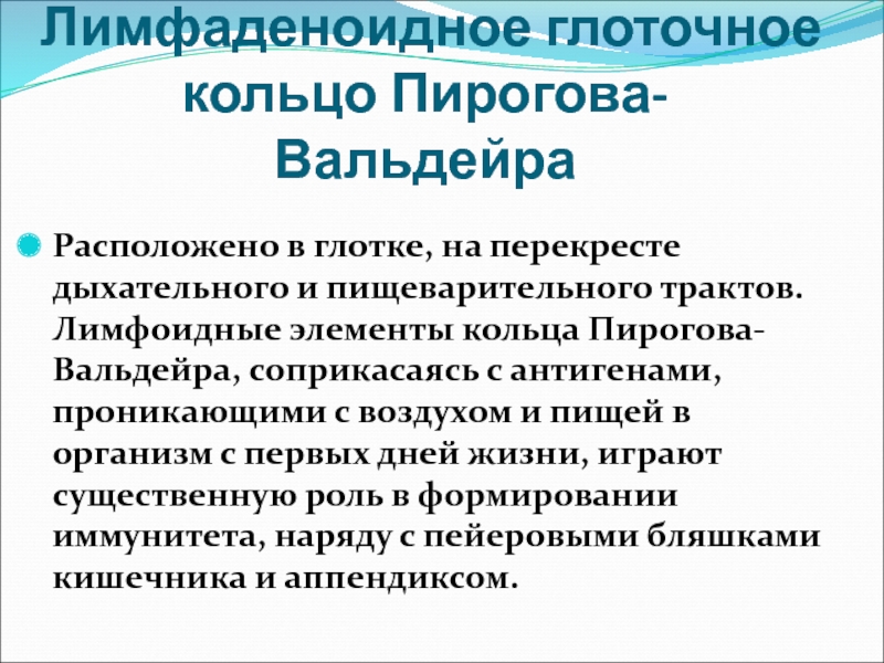 Пирогово кольцо. Лимфаденоидное глоточное кольцо Пирогова. Функции лимфоэпителиального глоточного кольца. Лимфоидное глоточное кольцо функции. Лимфаденоидное глоточное кольцо физиология.