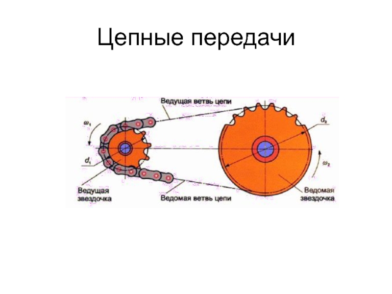 Рисунок цепной передачи