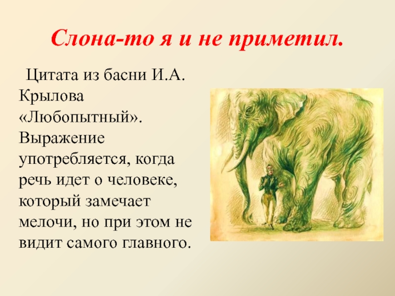 На лево примечая себе. Басня Крылова слона то я и не приметил. Любопытный Крылов басня. Слона-то я и не приметил басня. Фразеологизм слона то я и не приметил.