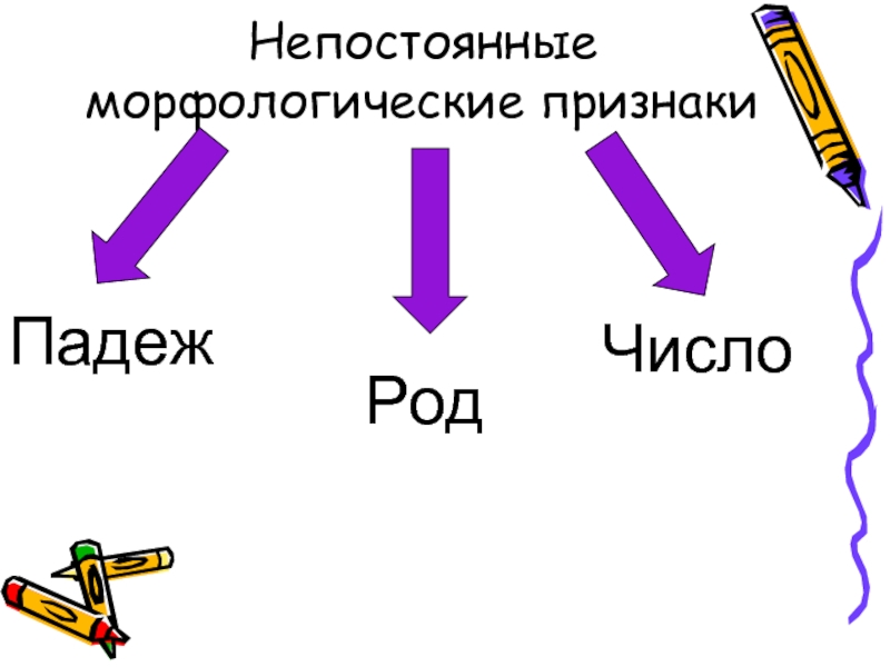 Местоимения числительные. Непостоянные морфологические признаки. Непостоянные признаки местоимения. Непостоянные признаки число падеж. Постоянные и непостоянные морфологические признаки.