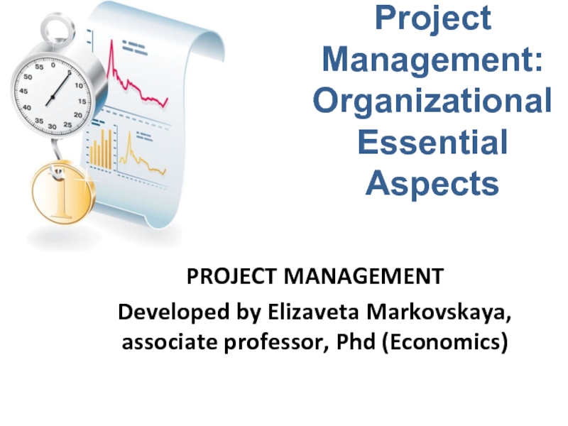 Project Management: Organizational Essential Aspects 