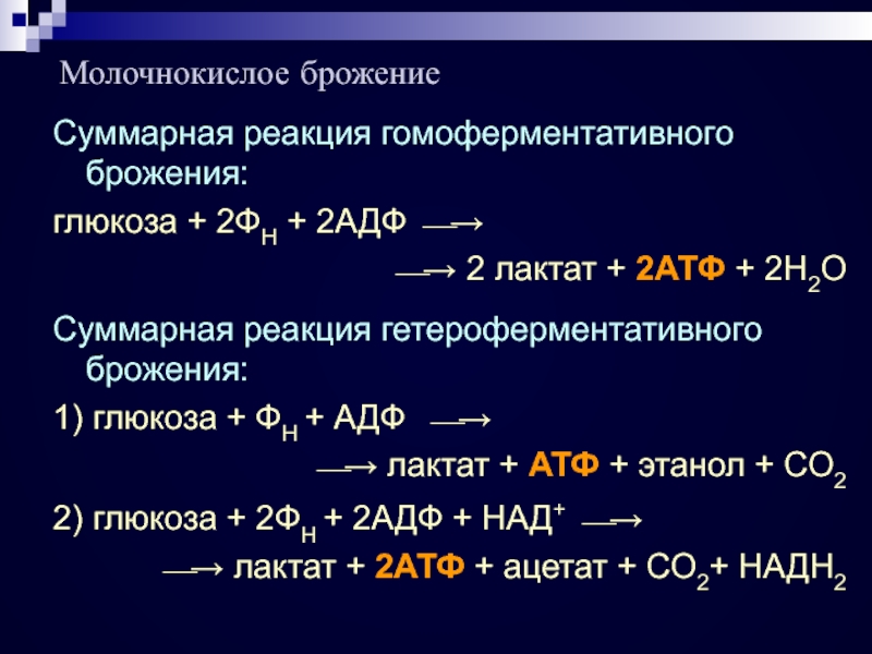 Молочнокислое брожение глюкозы