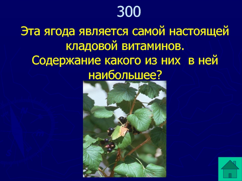 Употребляет настоящие кладовые они быстро вянут. Лекарство природная кладовая.