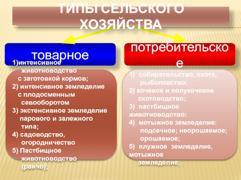 География рыболовства 10 класс презентация