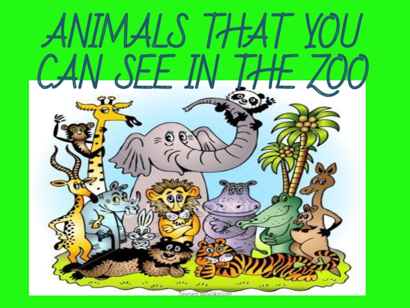 ANIMALS THAT YOU CAN SEE IN THE ZOO