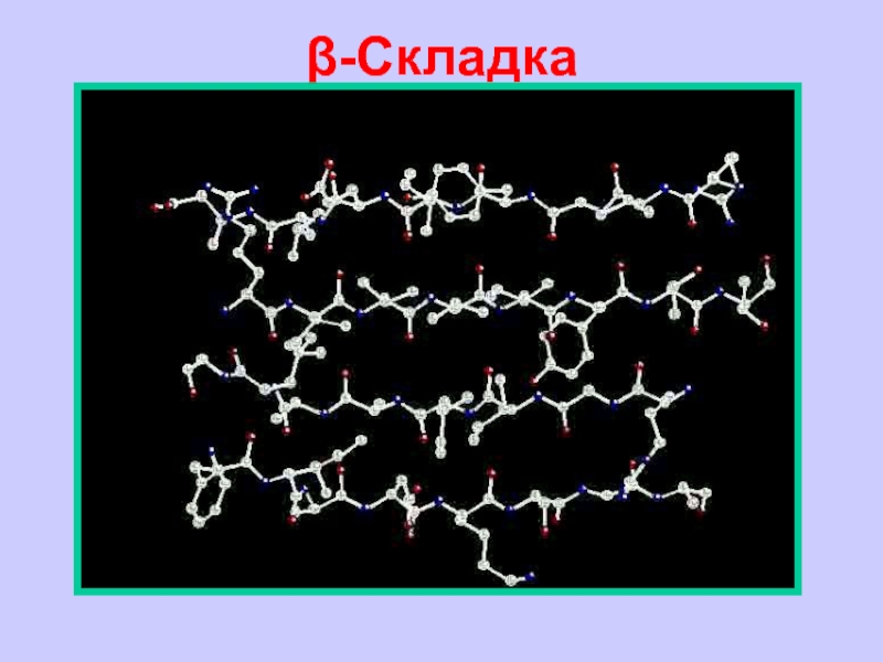 Рисунок с изображением полипептида. Полипептиды и органические композиты.