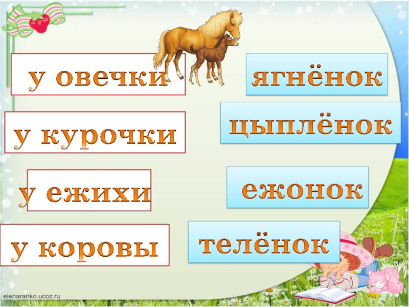 Презентация о братьях наших меньших 1 класс школа россии презентация