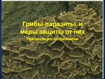 Грибы-паразиты и меры защиты от них
Презентация по биологии