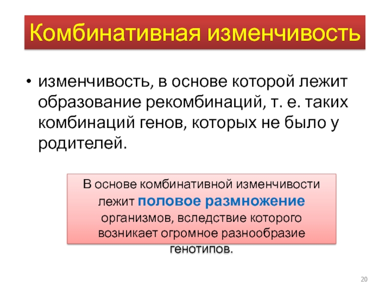 Презентация закономерности изменчивости 10 класс профильный уровень