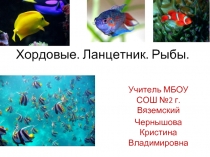 Лекция по теме «Рыбы»