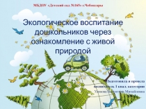 Экологическое воспитание дошкольников через живую природу