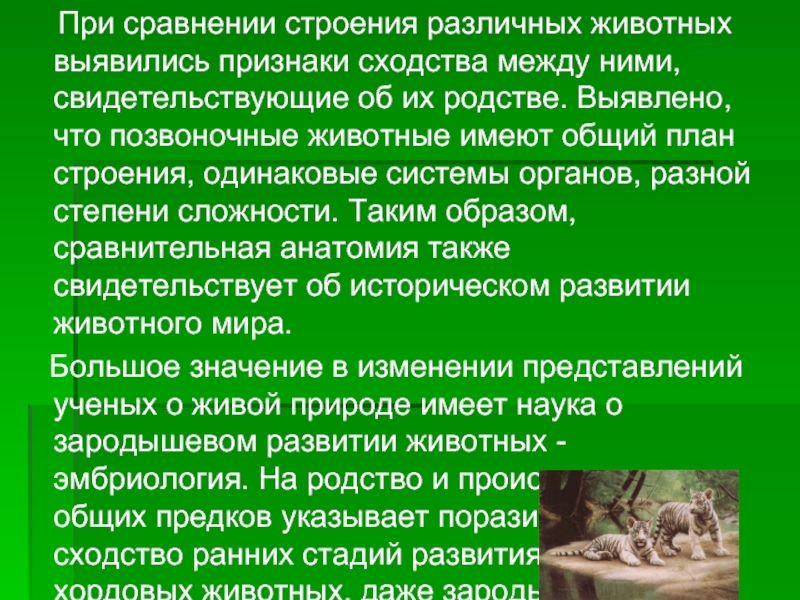 Сходство человека и млекопитающих животных. Вывод эволюции животных. У человека и всех животных одинаковы. У каких животных одинаковые органы с человеком. Характеристика животных неодинаковы.