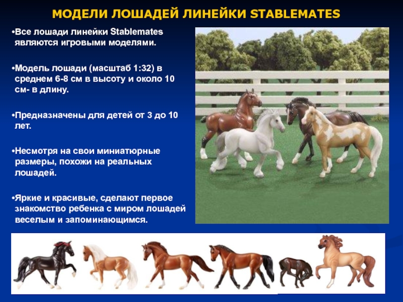 МОДЕЛИ ЛОШАДЕЙ ЛИНЕЙКИ STABLEMATESВсе лошади линейки Stablemates являются игровыми моделями. Модель лошади (масштаб 1:32) в среднем 6-8