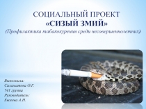 СОЦИАЛЬНЫЙ ПРОЕКТ
СИЗЫЙ ЗМИЙ
(Профилактика табакокурения среди